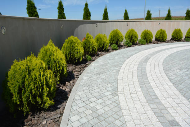 Best Residential Paver Driveway  in Pleasanton, KS